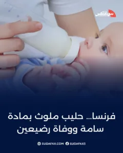 photostudio 1769248546850