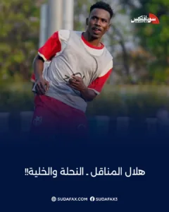 photostudio 1769327785243