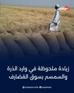 photostudio 1769426006922