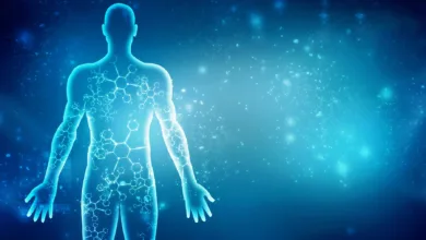 الجهاز العصبي