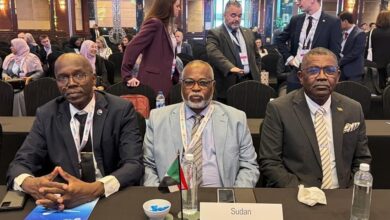حسين نايل مدير الطيران المدني السابق في السودان