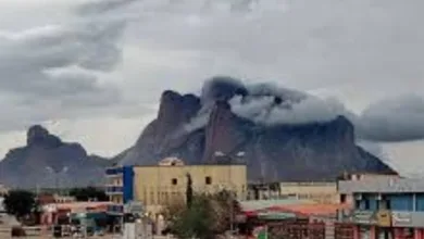 طيران بدر والعودة إلى كسلا.. استعادة ذكريات ما قبل الحرب كسلا: طيران بلدنا   وجد قرار شركة بدر للطيران باستئناف رحلاتها...