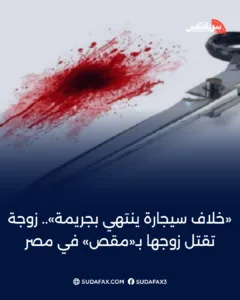 photostudio 1770450227167