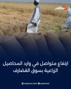 photostudio 1770474096989