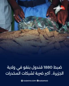 photostudio 1770809885932