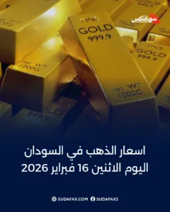 photostudio 1771223536800