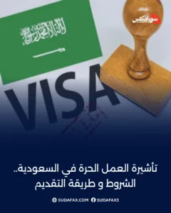 photostudio 1771225087697