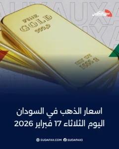 photostudio 1771329956078