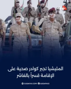 photostudio 1771330409447