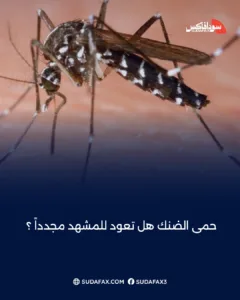 photostudio 1771331387329