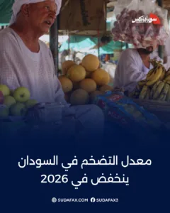 photostudio 1771446098918