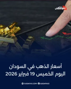 photostudio 1771486205218