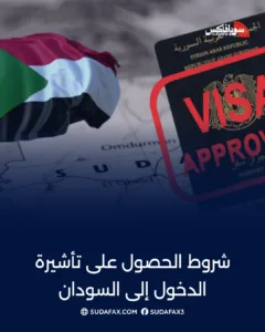 photostudio 1771494010807