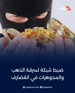 photostudio 1771522180976