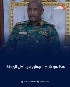 photostudio 1772007468642