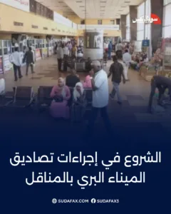 photostudio 1772039767237