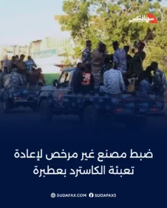 photostudio 1772091221981