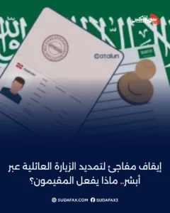 photostudio 1772093165942