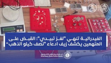 الشرطة الفيدرالية السودانية