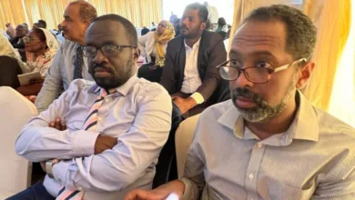 طه عثمان اسحق