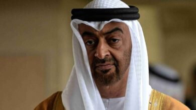 الشيخ محمد بن زايد