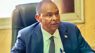 645411904 956595023388870 6627745705959256598 n