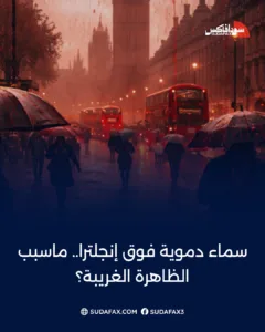 photostudio 1772353449040