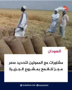 photostudio 1772612100679