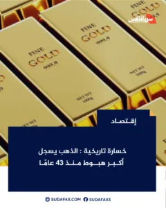 photostudio 1774267076295