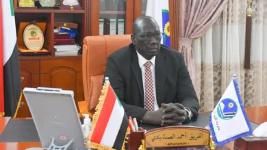 بادي