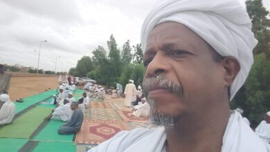 البروفيسور أبشر حسين