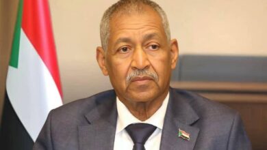 عماد عدوي سفير السودان بالقاهرة