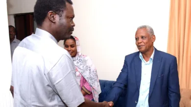 محي الدين شجر