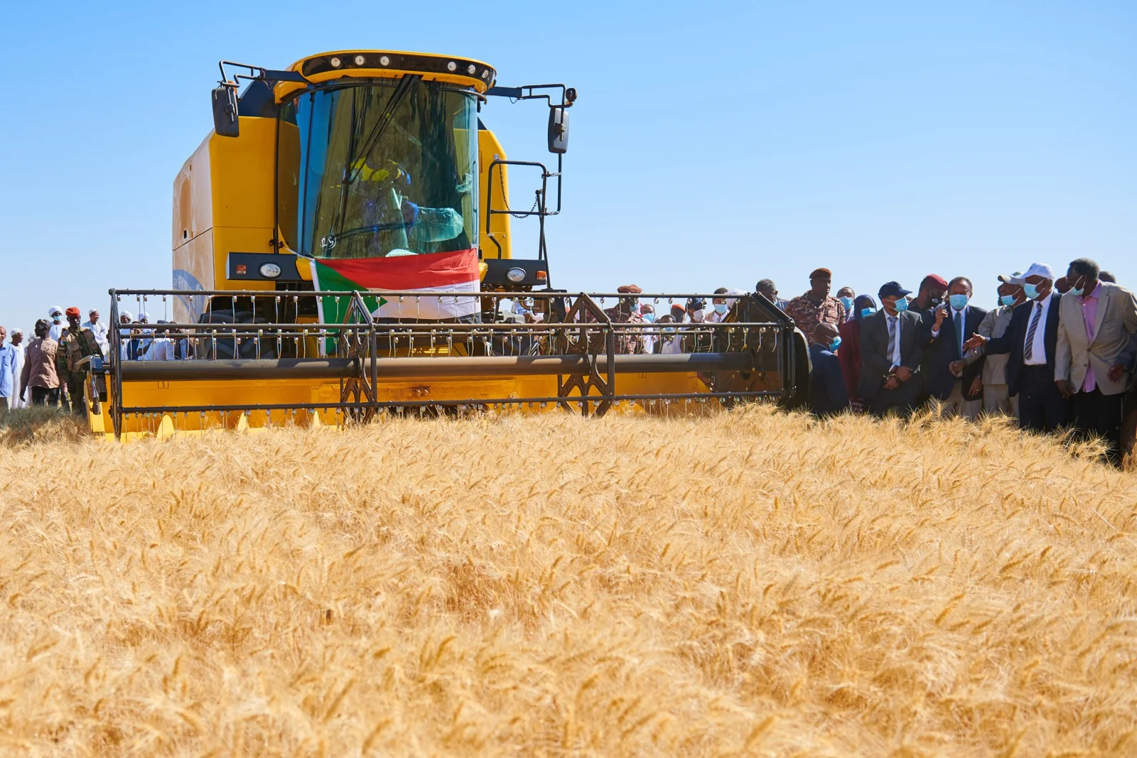 مشروع الجزيرة