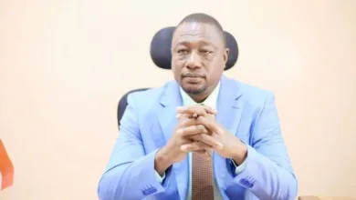 674547375 995418559506516 6787780846698990915 n