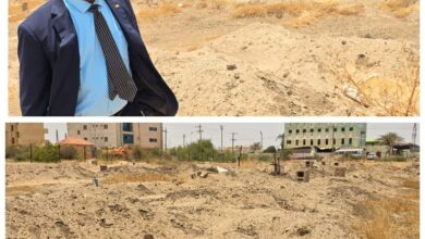 وزير الشباب والرياضة في السودان