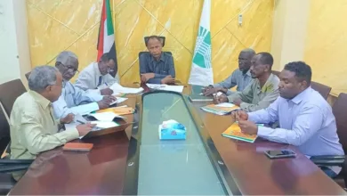 FB IMG 1777389664534