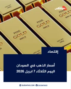 photostudio 1775545395119