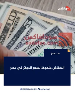 photostudio 1775666574333