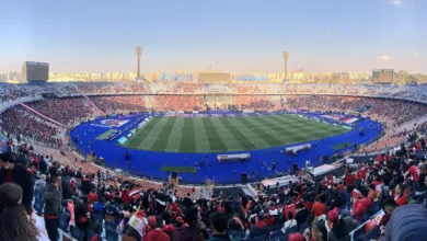 استاد القاهرة