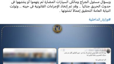 صورة رمزية لوزارة الداخلية المصرية