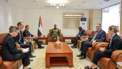 الفريق أول كباشي