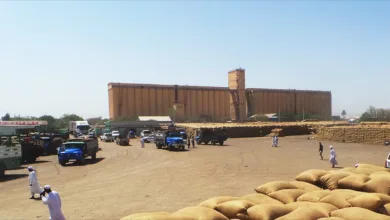 صوامع الغلال