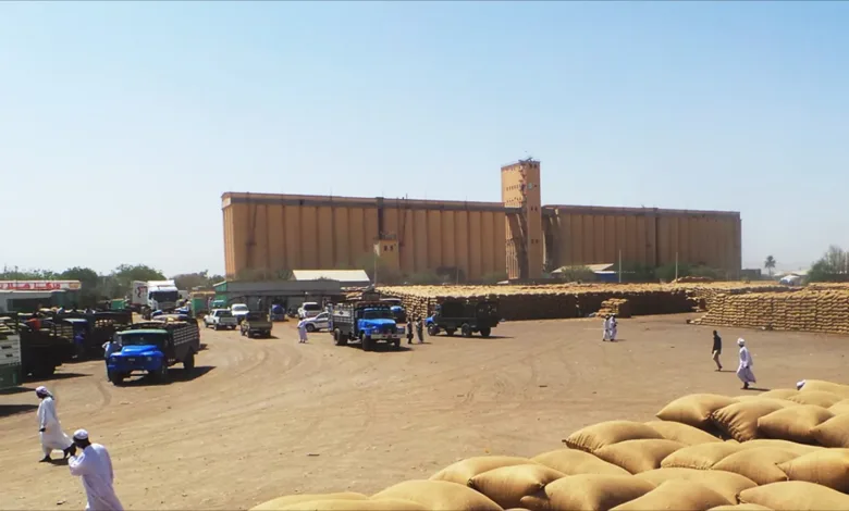 صوامع الغلال