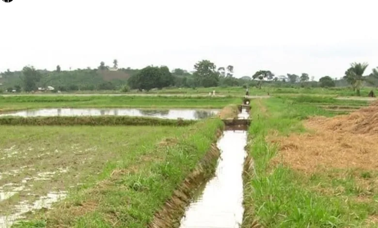 مشروع الجزيرة