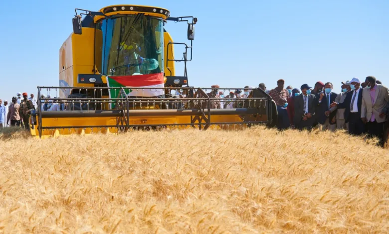 مشروع الجزيرة