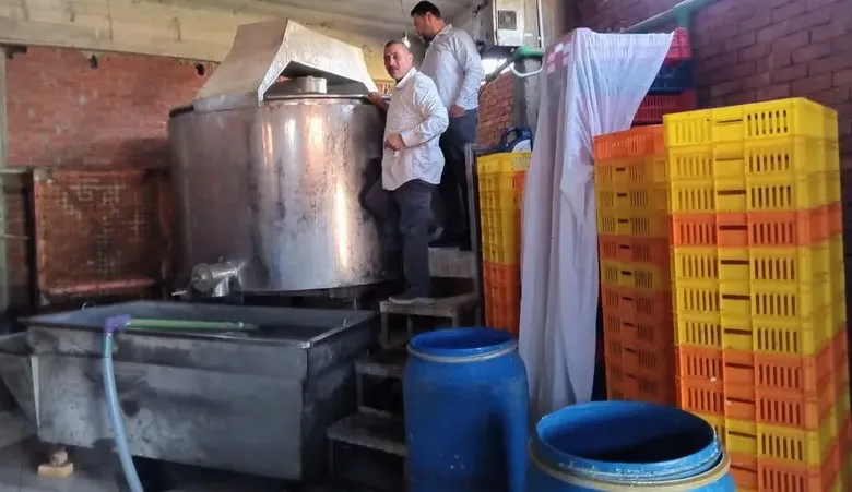 مصنع البان مصري