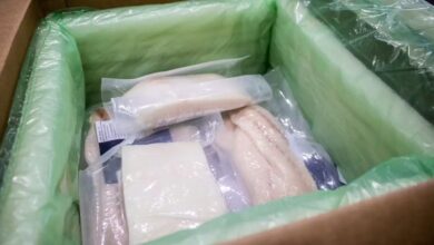 ضبط أغذية فاسدة في محل شهير بالتجمع الخامس مواد غذائية فاسدة مضبوطة