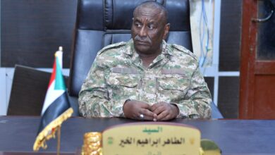 والي ولاية الجزيرة في السودان