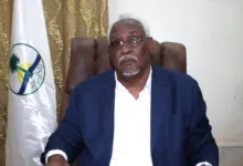 والي نهر النيل